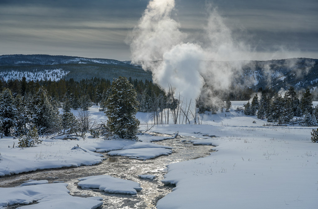 2024-200 | Upper Geyser Basin. - Realisiert mit Pictrs.com