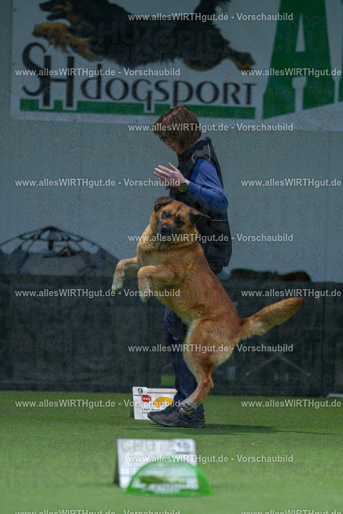 7R500640 | Professionelle Tierfotografie in Mönchengladbach von Daniel Wirth (allesWIRTHgut). Liebevolle & natürliche Bilder von Hunden & Katzen für unvergessliche Erinnerungen.