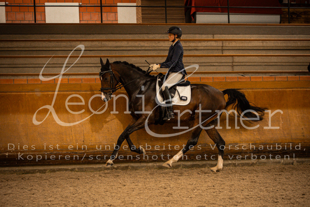 2Reiten00346 | Leoni Ertmer Photography - Realisiert mit Pictrs.com