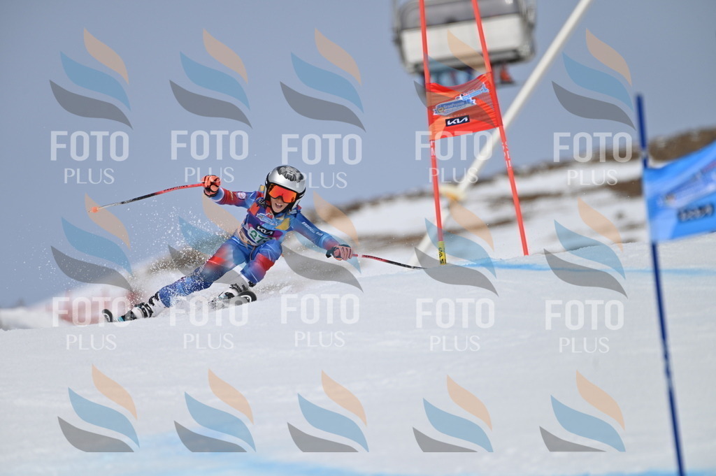 BGV_5391 | holidayphoto