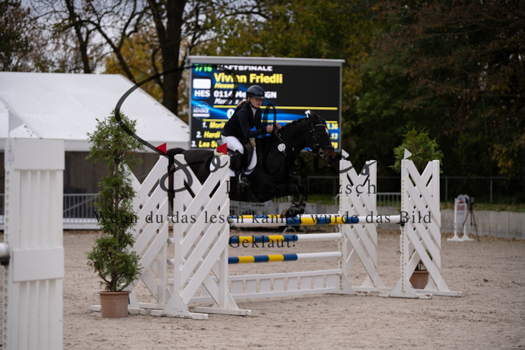 A7V00835 | Pferdefotograf