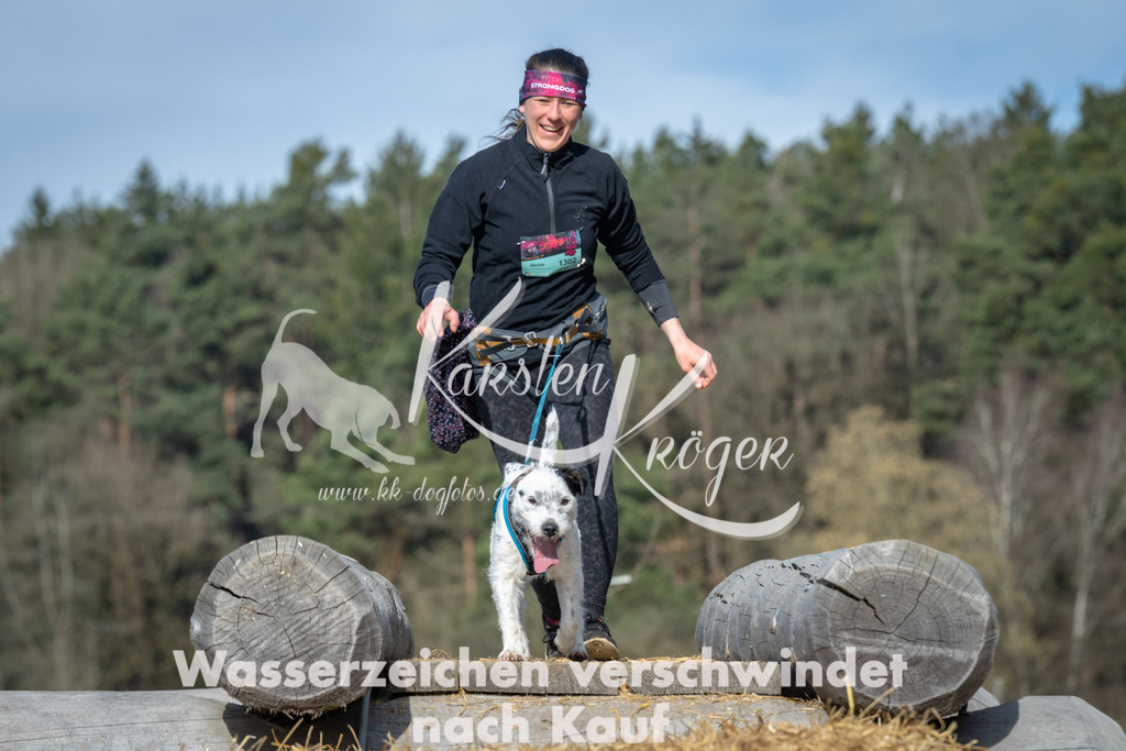 0953_ZZ97000 | kk-dogfotos