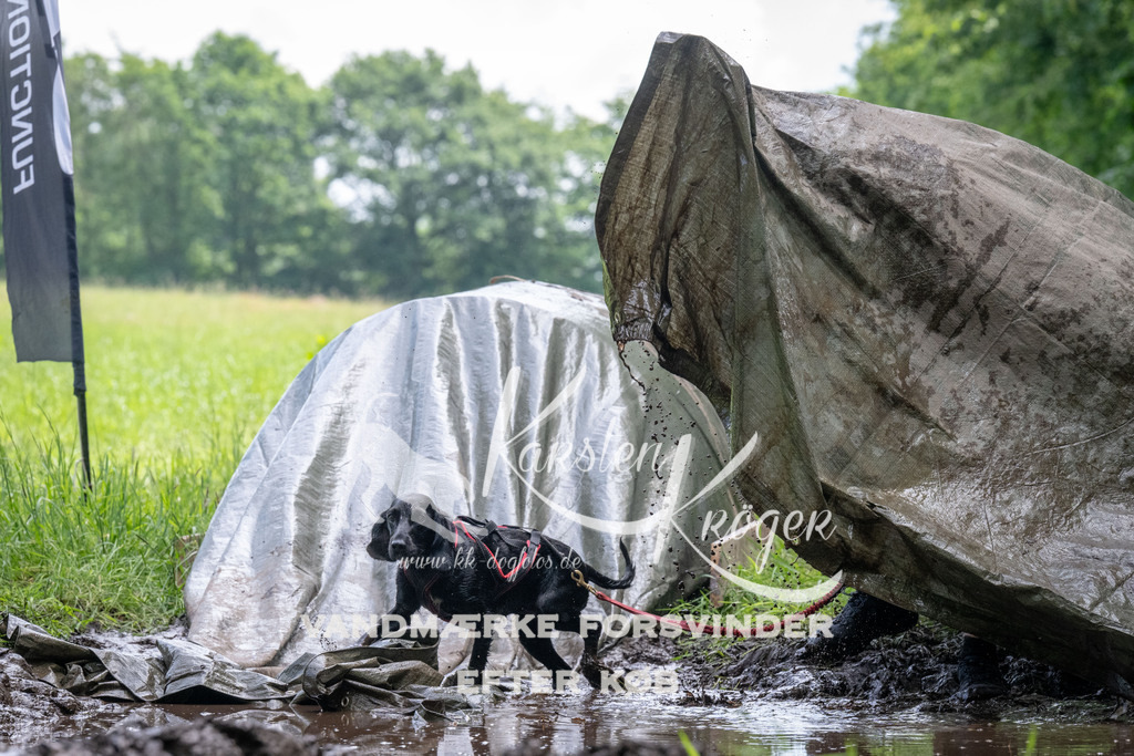 1137_ZZ93328 | kk-dogfotos