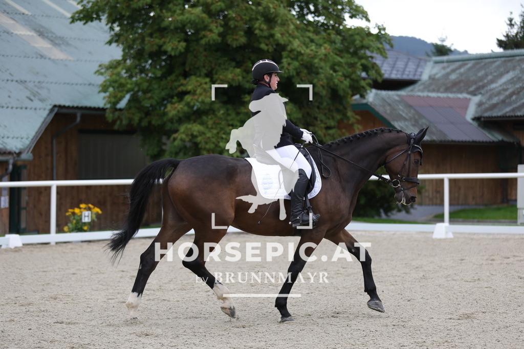 0P6A8031 | Willkommen bei Brunnmayr - Design & Fotografie – Ihrem Spezialisten für Reitturniere und Pferdeveranstaltungen in Oberösterreich, Salzburg und Bayern! Seit über 17 Jahren sind wir leidenschaftlich dabei.