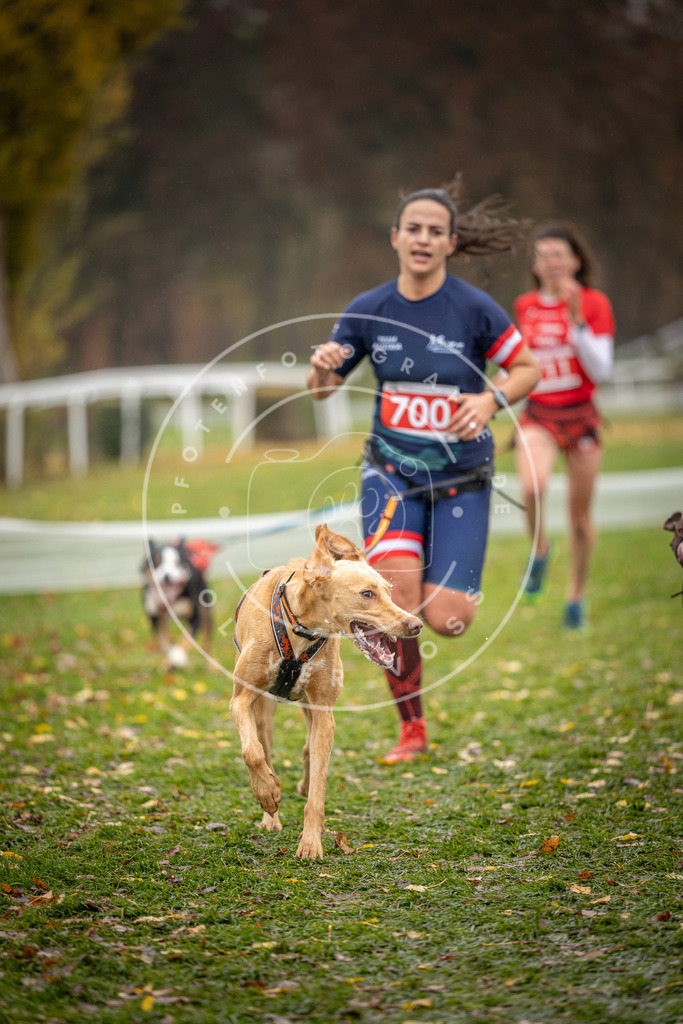 CaniXpix_DV3A9207 | Hundefotografie, Tierfotograf, Pfotenfotografie, Fotoshooting Hund, Hunde Portrait, Hundesport, Hundeportraits, Heideshooting, Hunde, Sportfotograf, Hundefotograf, Turnierhundsport, THS,  - Realisiert mit Pictrs.com