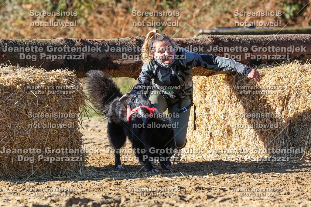 Dog Paparazzi - Strongdog 10-25-2187 | Dog Paparazzi Jeanette Grottendiek Fotografie & Videografie - Realisiert mit Pictrs.com