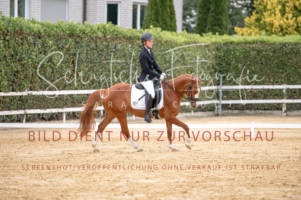 Schugtsche-Aluta25-40.DressurprfA_-428 | Schugtsche Fotografie - Realisiert mit Pictrs.com