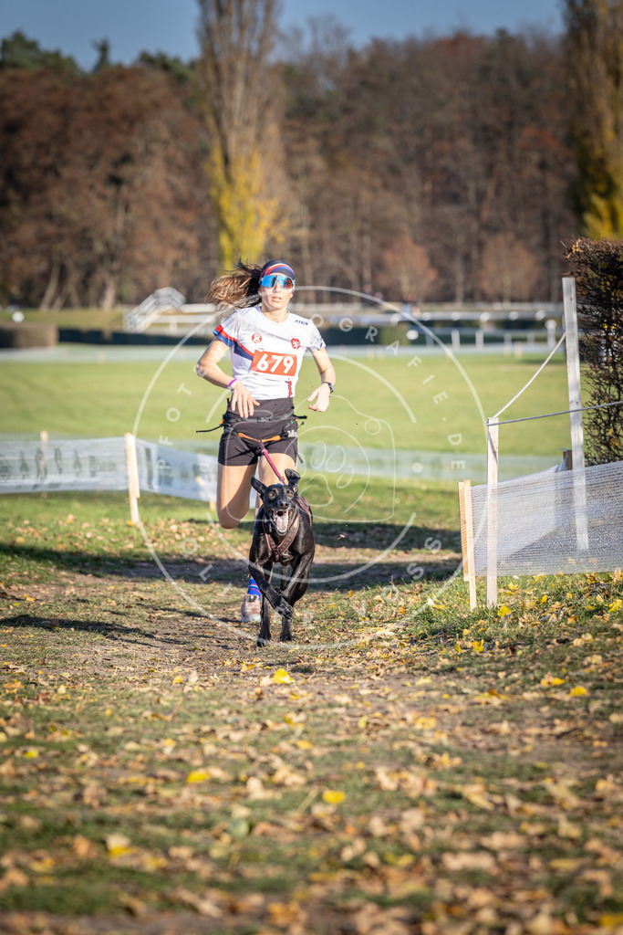 CaniXpix_DV3A1039 | Hundefotografie, Tierfotograf, Pfotenfotografie, Fotoshooting Hund, Hunde Portrait, Hundesport, Hundeportraits, Heideshooting, Hunde, Sportfotograf, Hundefotograf, Turnierhundsport, THS,  - Realisiert mit Pictrs.com