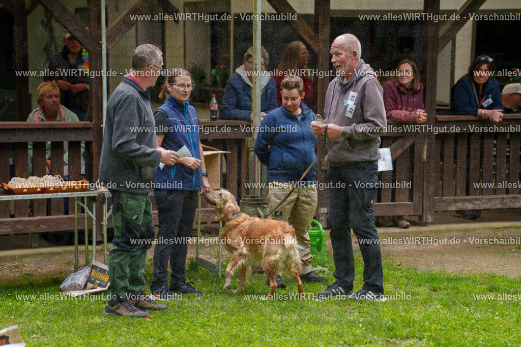 @allesWIRTHgut_Tierfotografie - www.allesWIRTHgut.de - 114927-7R508592 | Professionelle Tierfotografie in Mönchengladbach von Daniel Wirth (allesWIRTHgut). Liebevolle & natürliche Bilder von Hunden & Katzen für unvergessliche Erinnerungen.