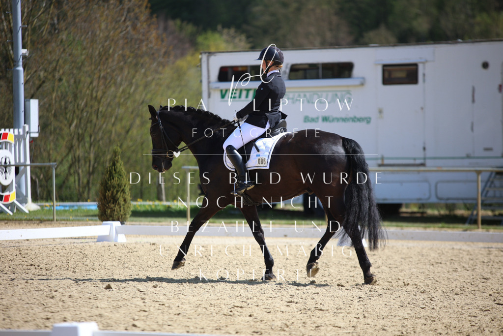 IMGT7106 | pl-fotografie