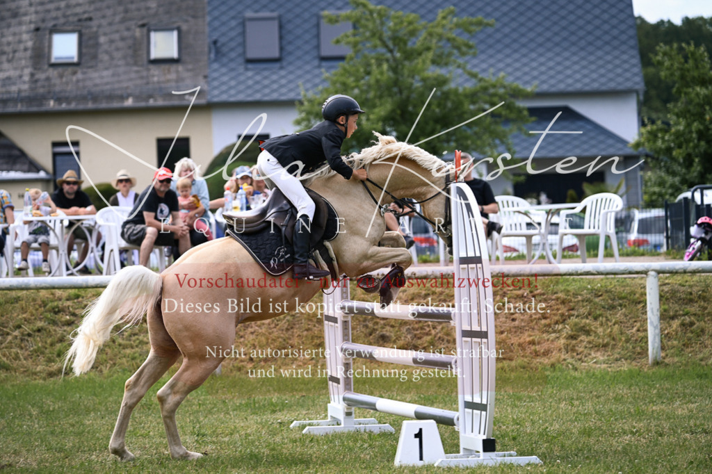 DSC_0647 | Pferde- und Turnierfotografie in Westsachsen. Pferdeportraits, Auftragszeichnungen und intuitive Kunst.