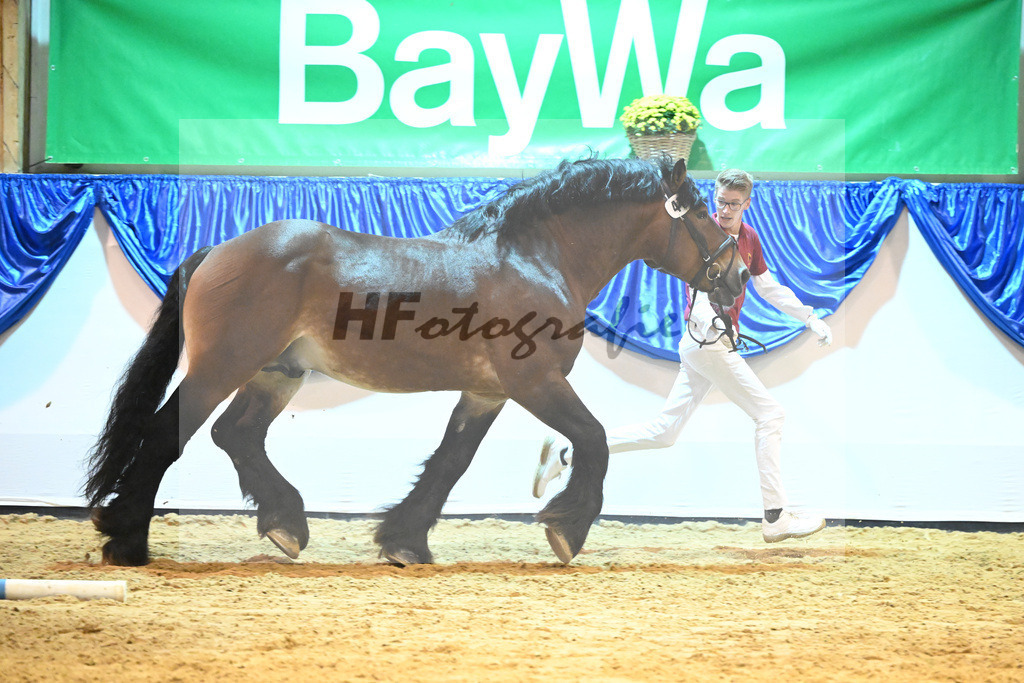 Kat-Nr. 41 Heidjer II_Kaufmann_53221245 | hf-fotografie - Realizzato con Pictrs.com