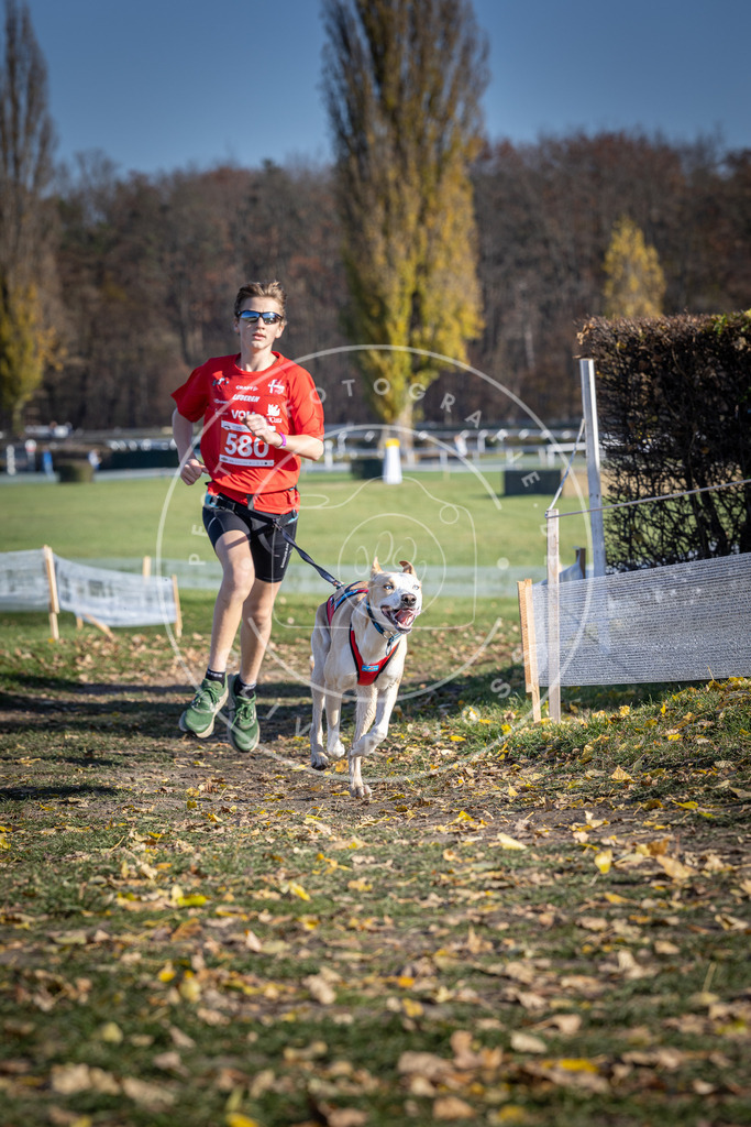 CaniXpix_DV3A9040 | Hundefotografie, Tierfotograf, Pfotenfotografie, Fotoshooting Hund, Hunde Portrait, Hundesport, Hundeportraits, Heideshooting, Hunde, Sportfotograf, Hundefotograf, Turnierhundsport, THS,  - Realisiert mit Pictrs.com