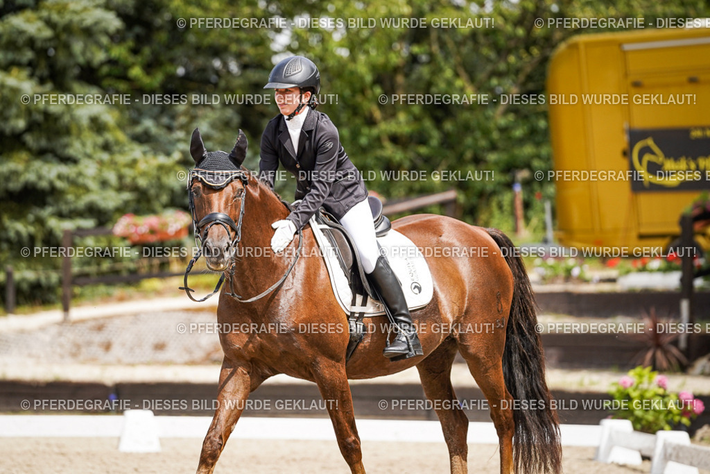 DSC03817 | Pferdegrafie