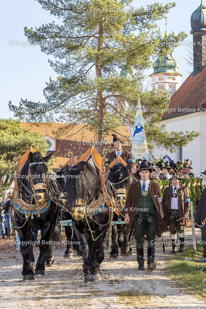 LBT25-1299 | foto-bettina-krinner - Realisiert mit Pictrs.com