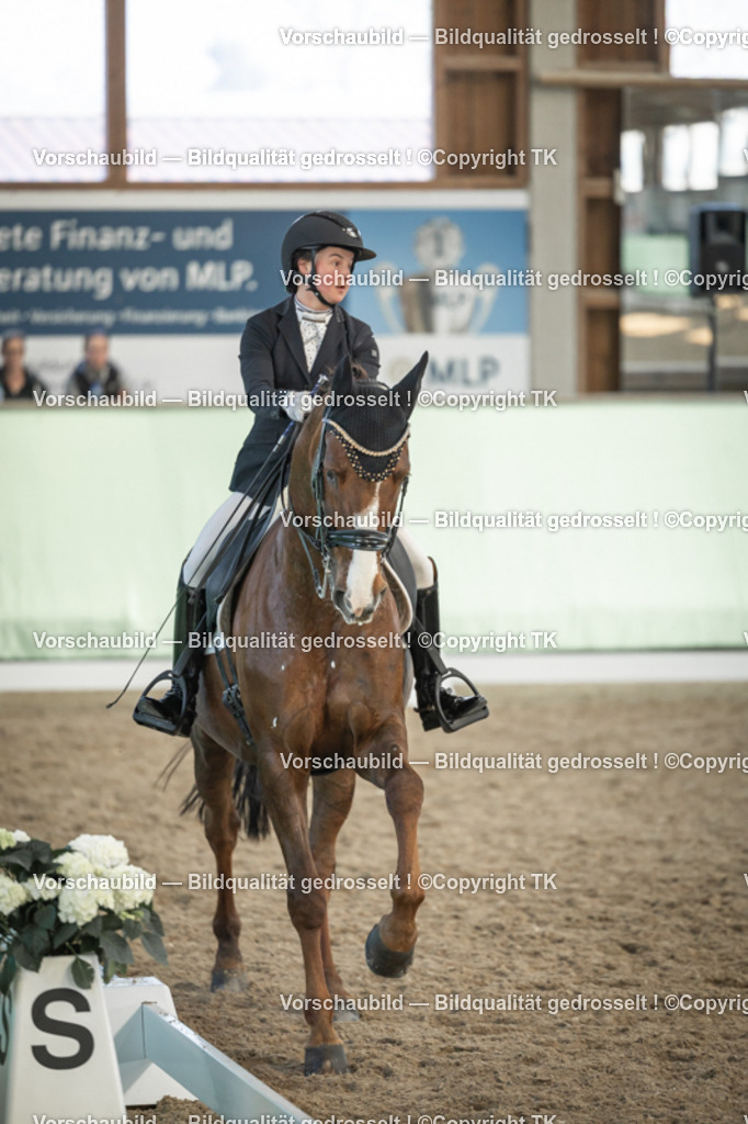 _D5A3126 | Emotionale Pferde- & People-Fotografie rund um Heidelberg, Leimen & Umgebung. Natürliche Fotos von Pferd, Mensch & Familie. Jetzt Termin sichern!