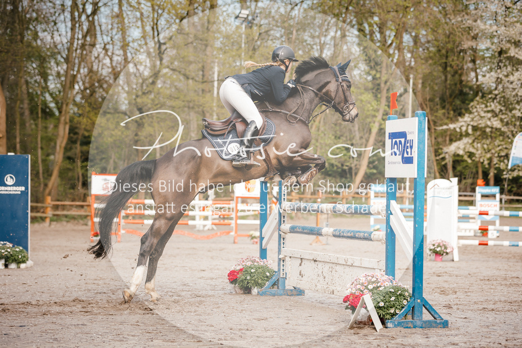 3I6A3358 | Stimmungsvolle Portraits und Reitsportfotografie im Ruhrgebiet und im Münsterland.

Pferdefotografie, Hundefotografie, Tierfotografie, Reportagen, Portraits von Tier und Mensch, Turnierfotografie in Bochum, Recklinghausen, Marl, Haltern am See, Dülmen.. - Realisiert mit Pictrs.com