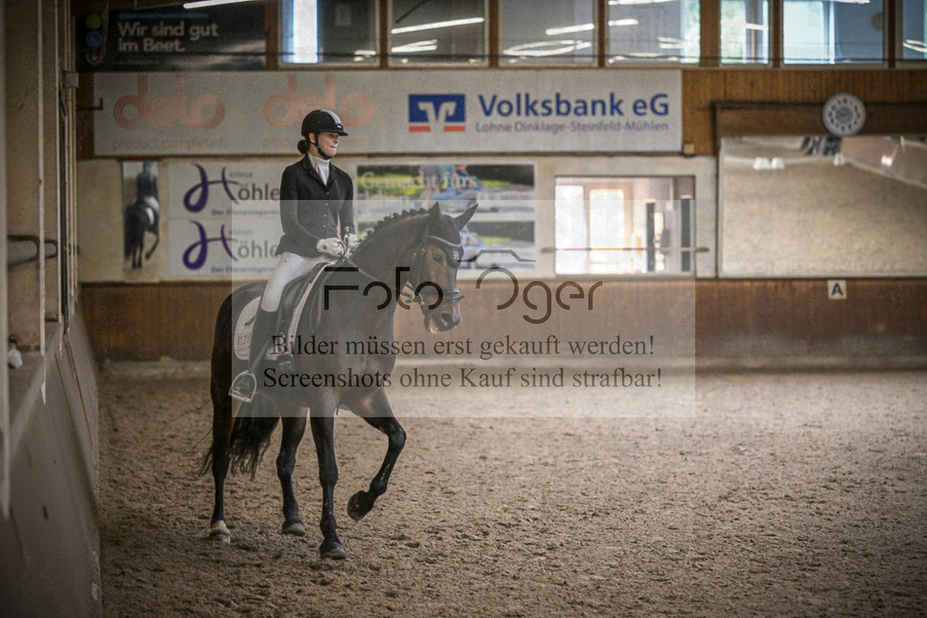 DOS_0442 | Entdecke hochwertige Reitturnierfotos von Foto Oger. Professionell, emotional und authentisch – jetzt Lieblingsmomente im Shop bestellen.Deutschlandweite Turnierfotografie. - Realisiert mit Pictrs.com