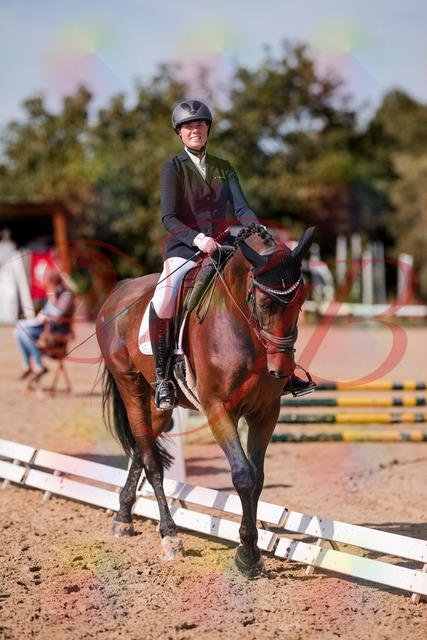 2026_10_03_Siefer-Hof_125939_Z81_50927233 | Professionelle Reitsport-, Turnier- und Eventfotografie von Robert Broda. Galerien mit ausgewählten und bearbeiteten Bildern direkt online ansehen und bestellen.