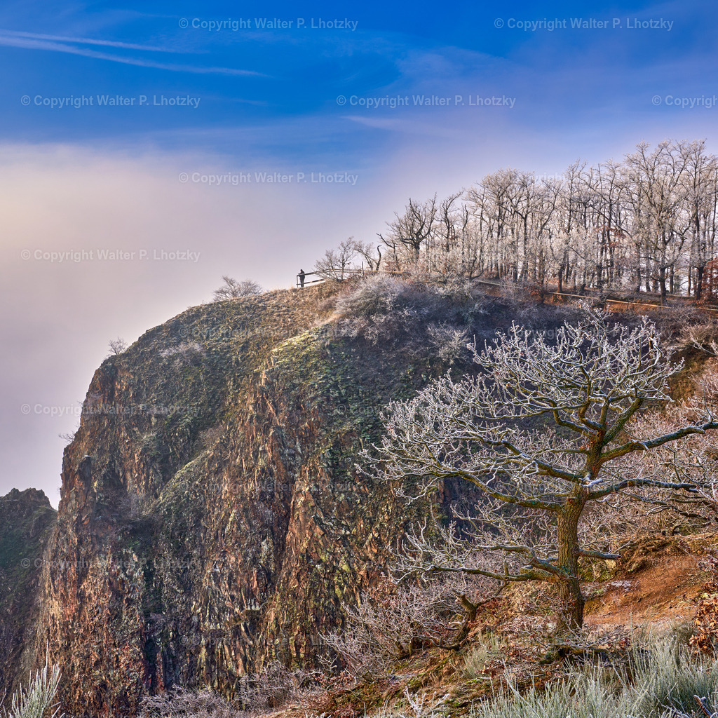 LHO05079 | wlstudio - Realisiert mit Pictrs.com