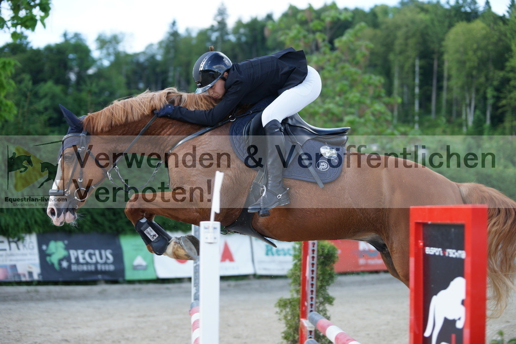 DSC08529 | equestrian-live-com