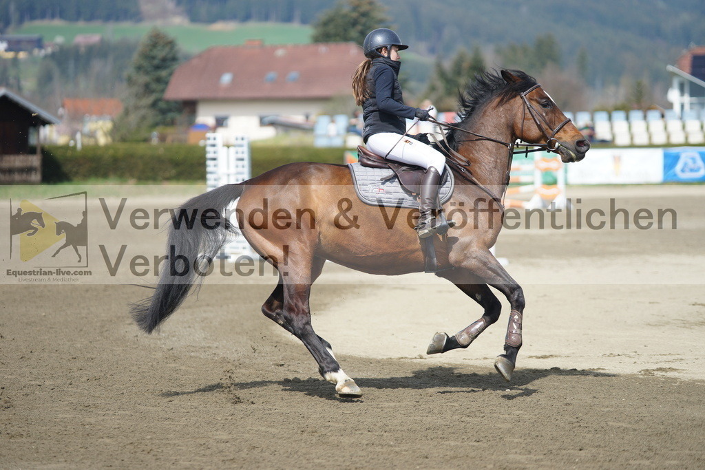 DSC04099 | equestrian-live-com