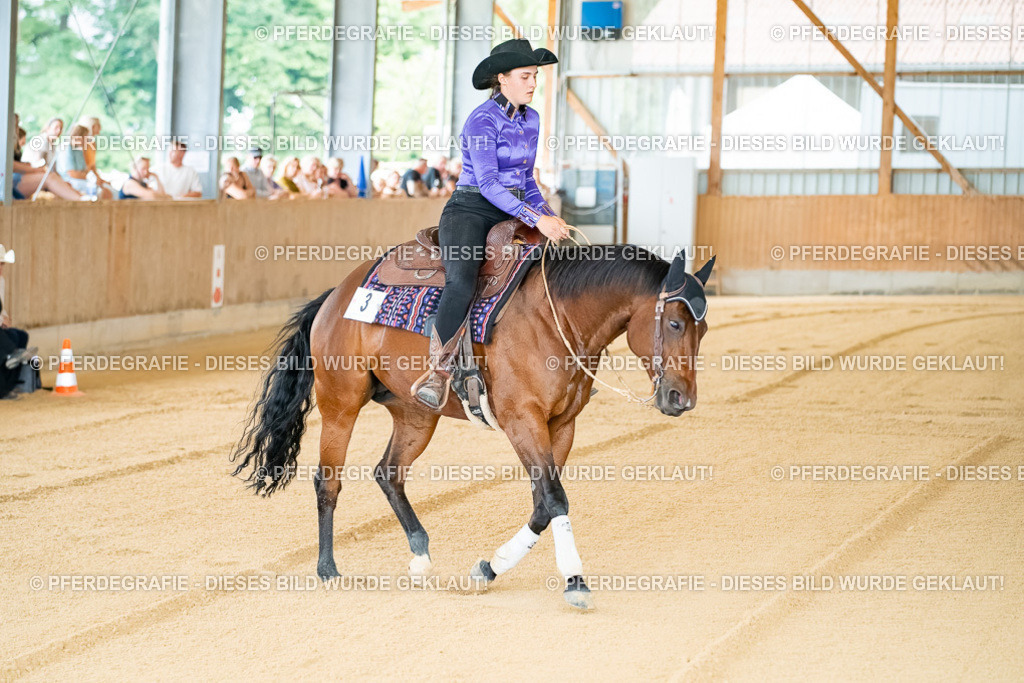 DSC07734 | Pferdegrafie