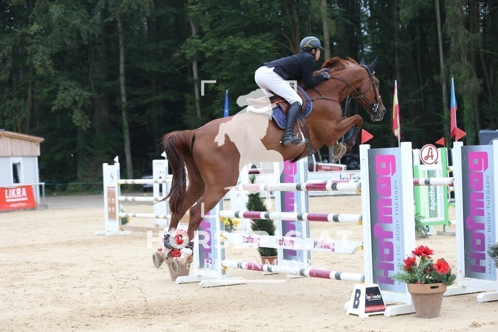 DL2Q8944 | Willkommen bei Brunnmayr - Design & Fotografie – Ihrem Spezialisten für Reitturniere und Pferdeveranstaltungen in Oberösterreich, Salzburg und Bayern! Seit über 17 Jahren sind wir leidenschaftlich dabei.