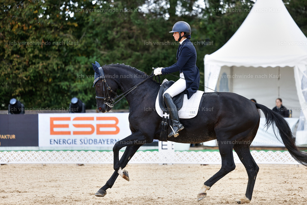 10-190-ST.GEORG SPECIAL -StoibPH-3228 | working equitationturnier fotograf videograf stoibphotography marixx film working equitation deutschland reitsport turnierfotografie eventfotografie equestrian events