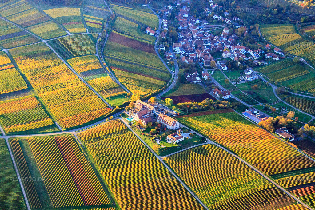Luftbild: Hotel Leinsweiler Hof in Leinsweiler im Bundesland Rheinland-Pfalz in Deutschland. Foto: IMG_60611.jpg vom 24.10.2013 durch Werner Riehm/FLY-FOTO.de