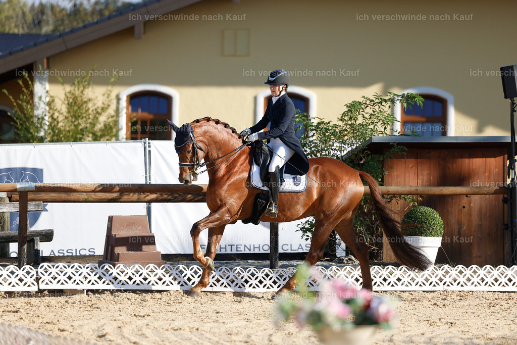 09_1-143-DRESSUR  S_  -StoibPH-5552 | working equitationturnier fotograf videograf stoibphotography marixx film working equitation deutschland reitsport turnierfotografie eventfotografie equestrian events