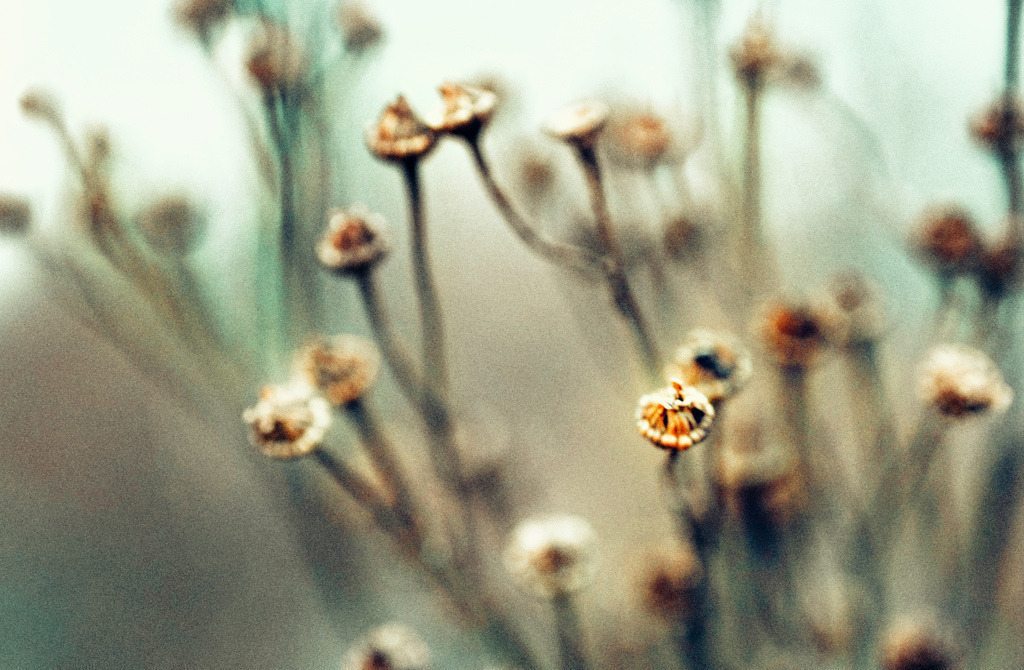 20231011181800IMG_20230110_211315_307-2 | Kaufen sie online außergewöhnliche Fotografien auf Leinwand Acrylglas Fotoprint Aludibond von holgerweigeltfotografie - Realisiert mit Pictrs.com