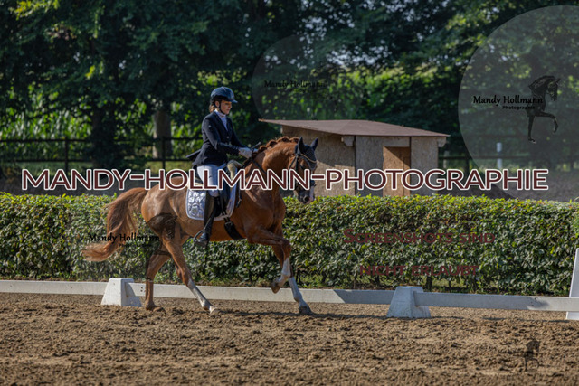 15.8.25 D1 RPF 3j (211 von 255) | mandyhollmannphotographie