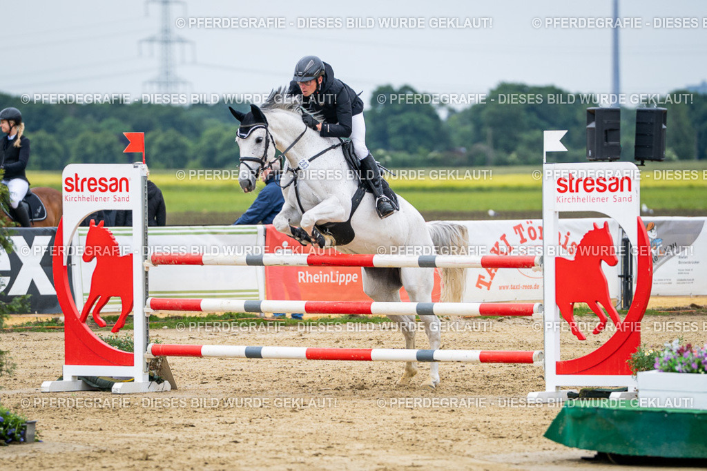 DSC05295 | Pferdegrafie