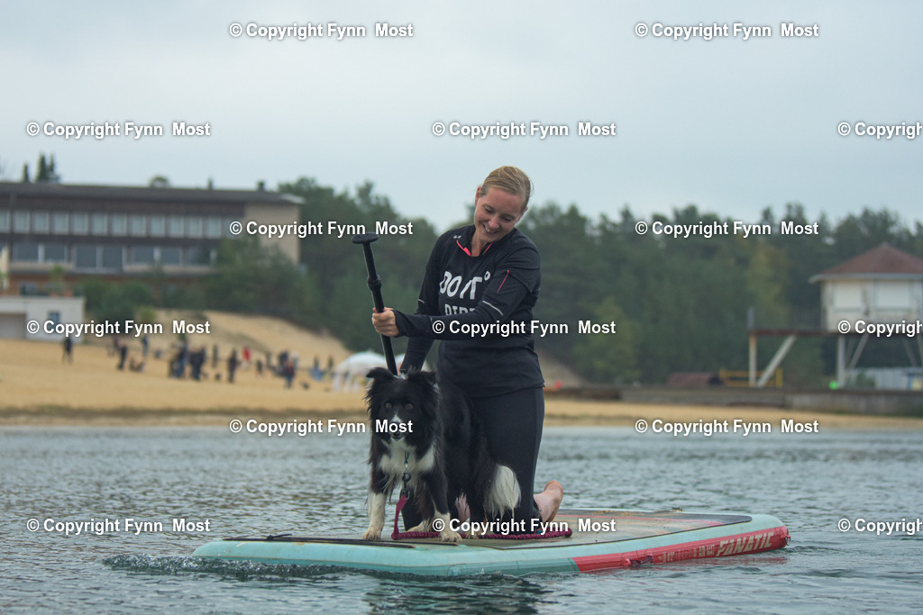 DSC_0340 | Hallo und herzlich Willkommen auf meiner Shop-Seite Fynn Most.

Ich wünsche Dir viel Spaß beim stöbern durch die Bilder, wenn Du Fragen hast oder Bilder vermisst, kannst du mir gerne eine Nachricht schreiben. - Realisiert mit Pictrs.com