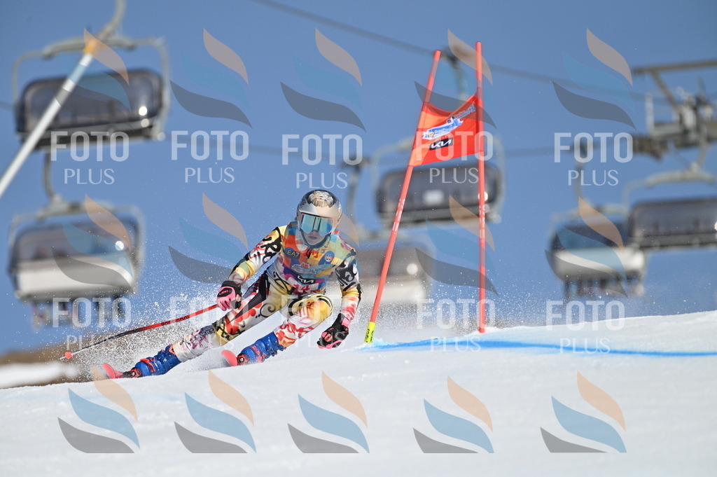 BGV_7826 | holidayphoto