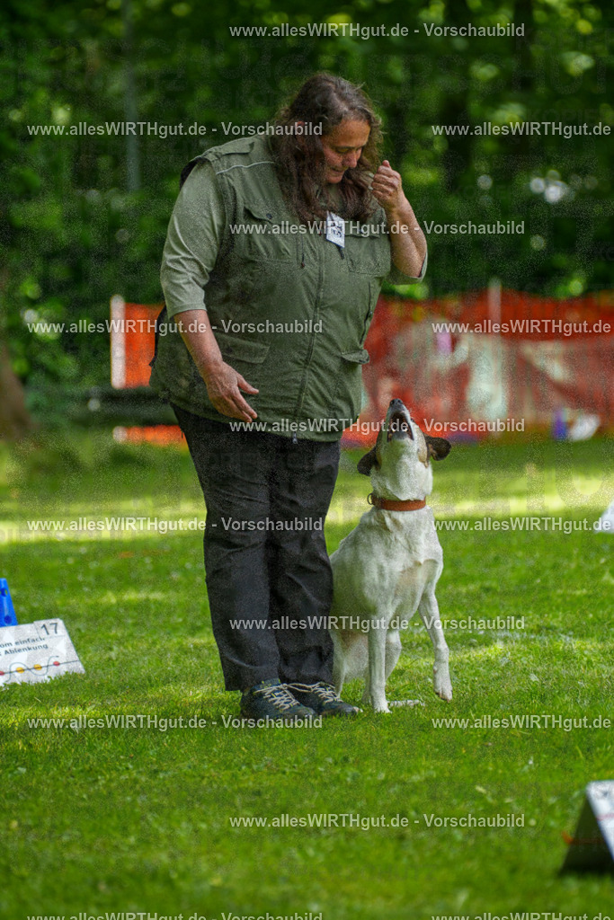 @allesWIRTHgut_Tierfotografie - www.allesWIRTHgut.de - 7R504355 | Professionelle Tierfotografie in Mönchengladbach von Daniel Wirth (allesWIRTHgut). Liebevolle & natürliche Bilder von Hunden & Katzen für unvergessliche Erinnerungen.