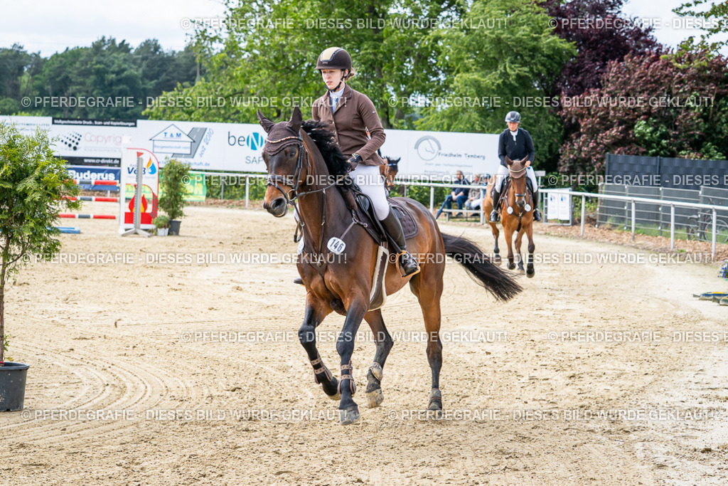 DSC05724 | Pferdegrafie