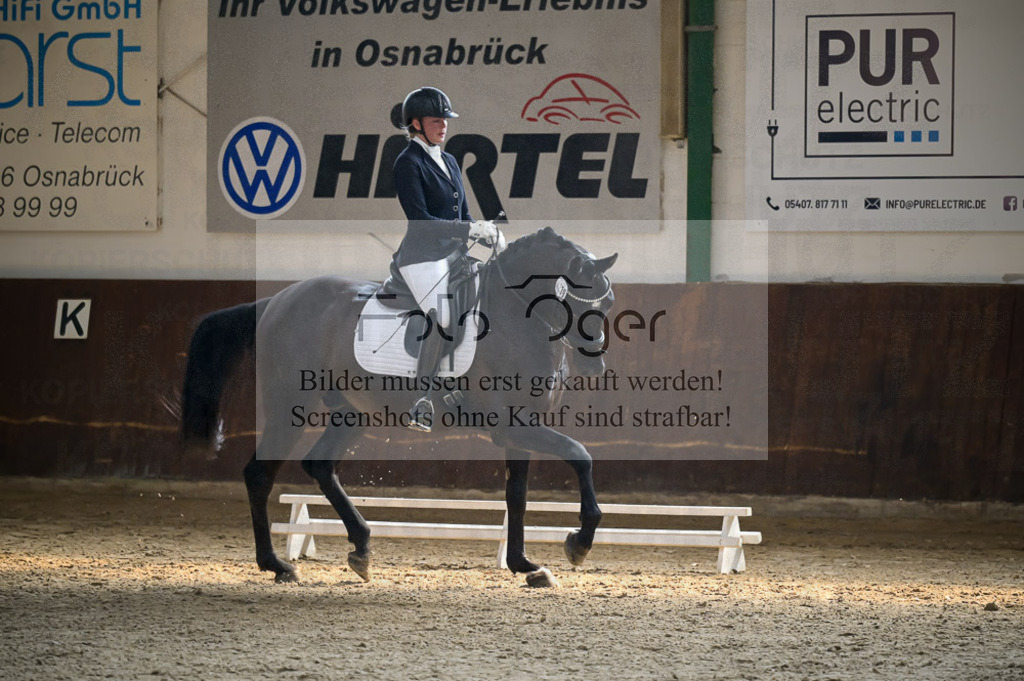 Reitturnier Voxtrup | Entdecke hochwertige Reitturnierfotos von Foto Oger. Professionell, emotional und authentisch – jetzt Lieblingsmomente im Shop bestellen.Deutschlandweite Turnierfotografie. - Realisiert mit Pictrs.com