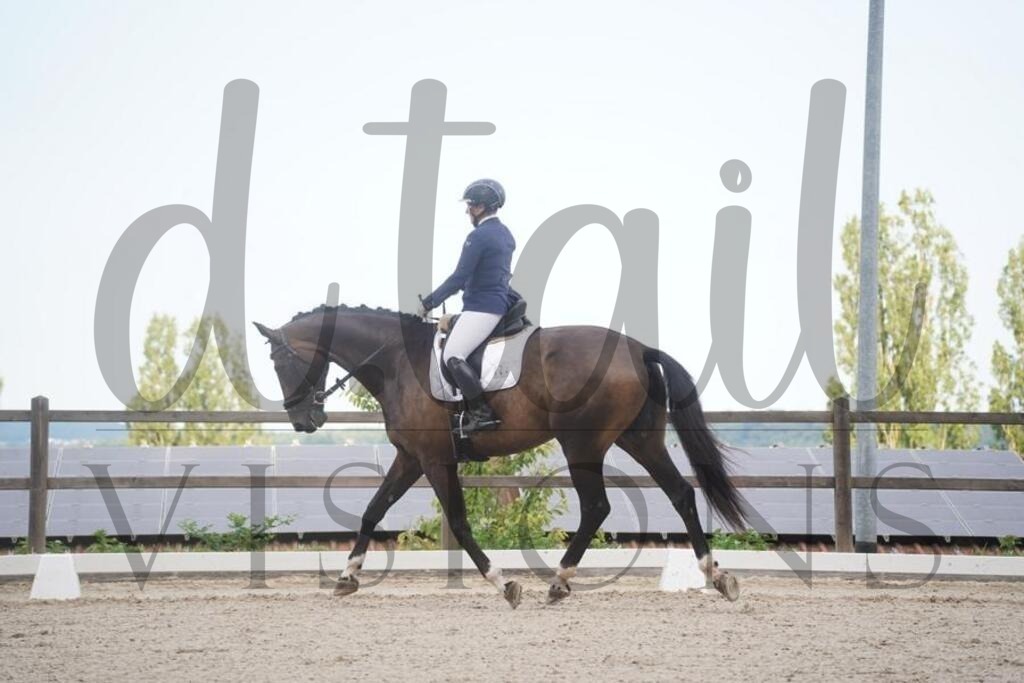 tbhsamstag (147) | d.tail Visions - Shop - Realisiert mit Pictrs.com