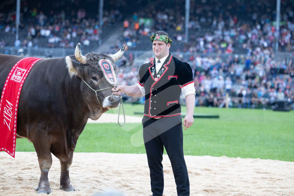 ESAF2025_Ehrung_7335 | Die Schwinger des Schwyzer Kantonalen Schwingerverbandes: Fotos, die Dynamik und Leidenschaft festhalten, sowie emotionale Momente aus dem traditionellen Schwingsport zeigen. - Realisiert mit Pictrs.com