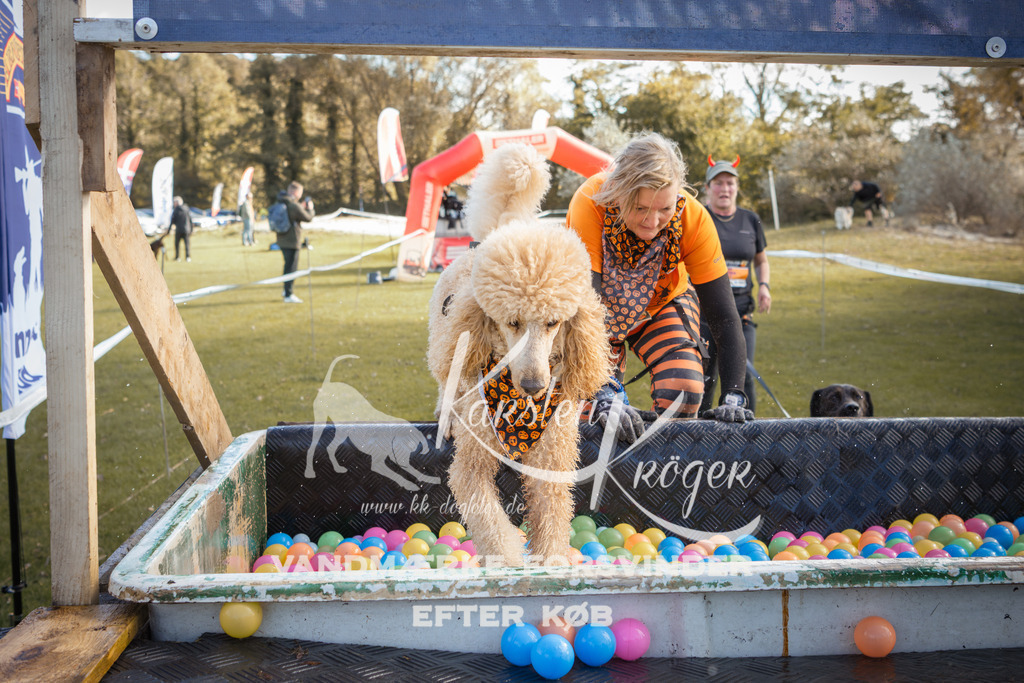 1307_ZZ99169-2 | kk-dogfotos