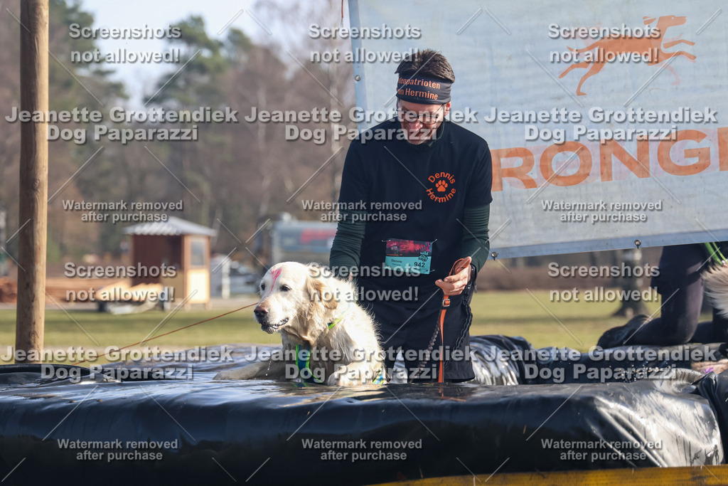 Dog Paparazzi - Strongdog North Mrz26-733 | Dog Paparazzi Jeanette Grottendiek Fotografie & Videografie - Realisiert mit Pictrs.com