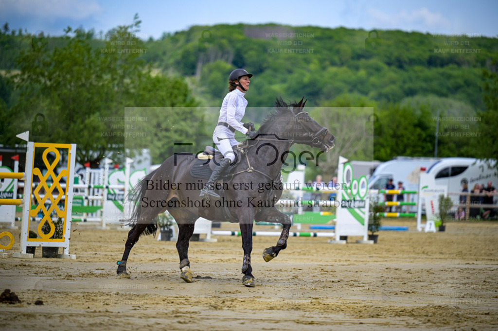 Reitturnier Lienen | Entdecke hochwertige Reitturnierfotos von Foto Oger. Professionell, emotional und authentisch – jetzt Lieblingsmomente im Shop bestellen. - Realisiert mit Pictrs.com