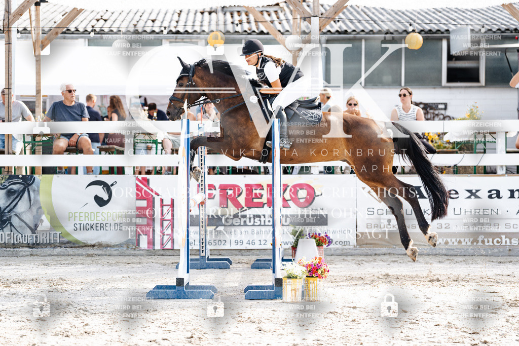 CK905863 | Turnierfotografie Pferdefotografie Trier Rheinland-Pfalz Pferdesport Reitsport Tierfotografie Sportfotografie Pferdevideo Pferdevideografie Equestrianvideography equestrianphotography  - Realisiert mit Pictrs.com