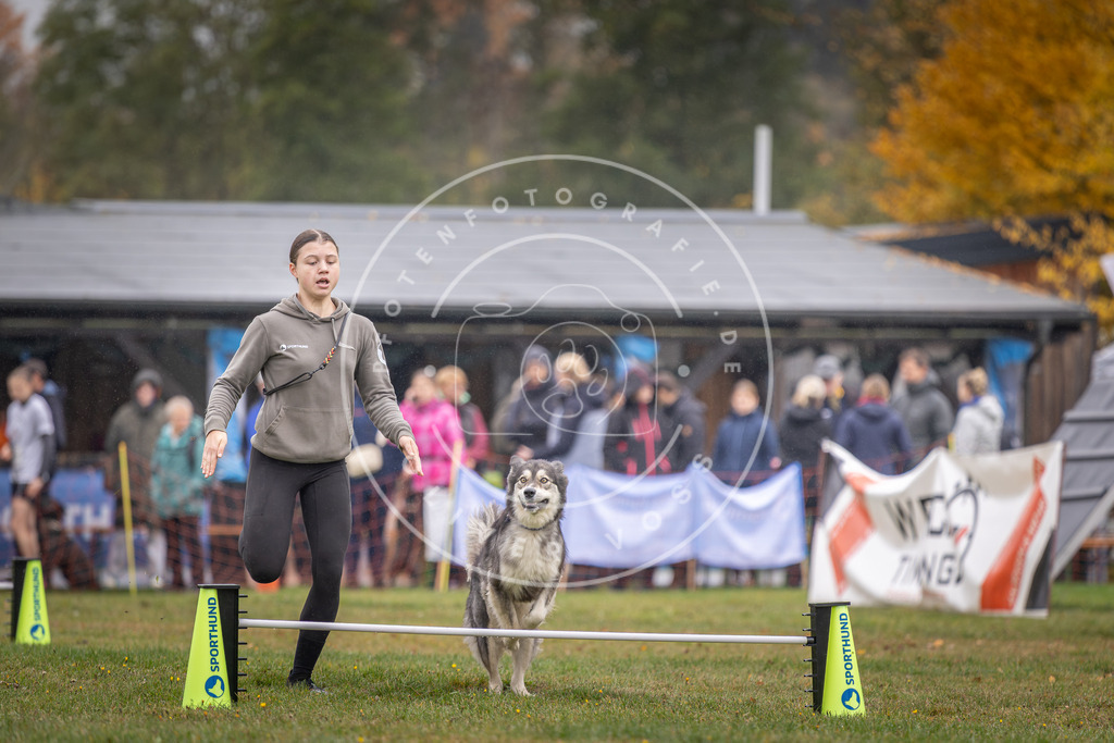 Pfotenfotografie_DV3A0640 | Hundefotografie, Tierfotograf, Pfotenfotografie, Fotoshooting Hund, Hunde Portrait, Hundesport, Hundeportraits, Heideshooting, Hunde, Sportfotograf, Hundefotograf, Turnierhundsport, THS,  - Realisiert mit Pictrs.com