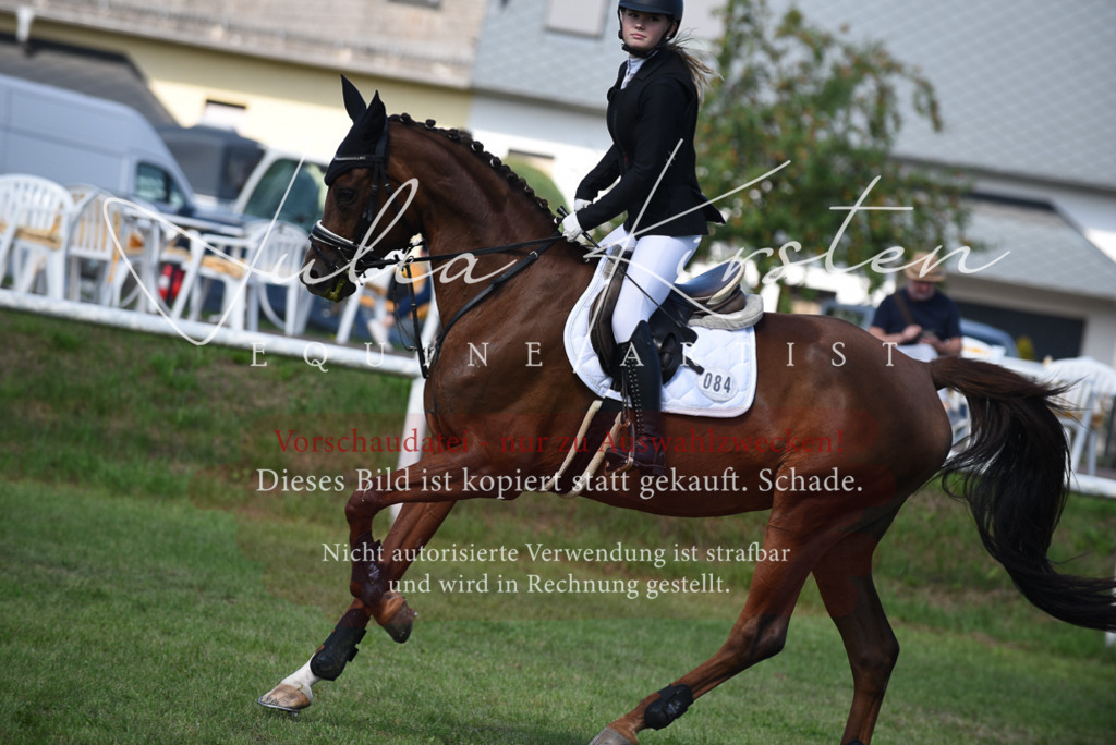DSC_9165 | Pferde- und Turnierfotografie in Westsachsen. Pferdeportraits, Auftragszeichnungen und intuitive Kunst.