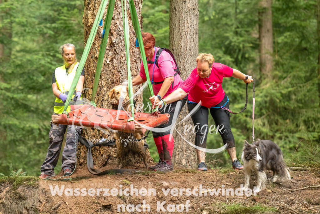 1335_ZZ93394-Bearbeitet | kk-dogfotos