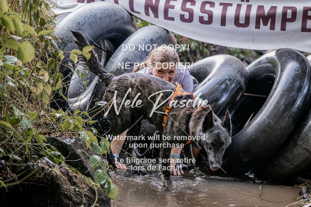nelerasche_Hunsrück2026_Sa1400-1500_122 | nelerasche