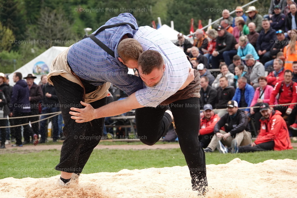 DSC03249 | Schwingen - Realisiert mit Pictrs.com